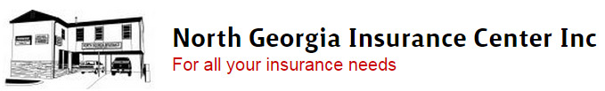 North Georgia Insurance Center Inc